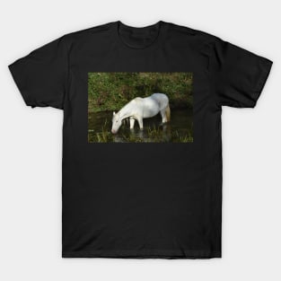 Wild Horse T-Shirt